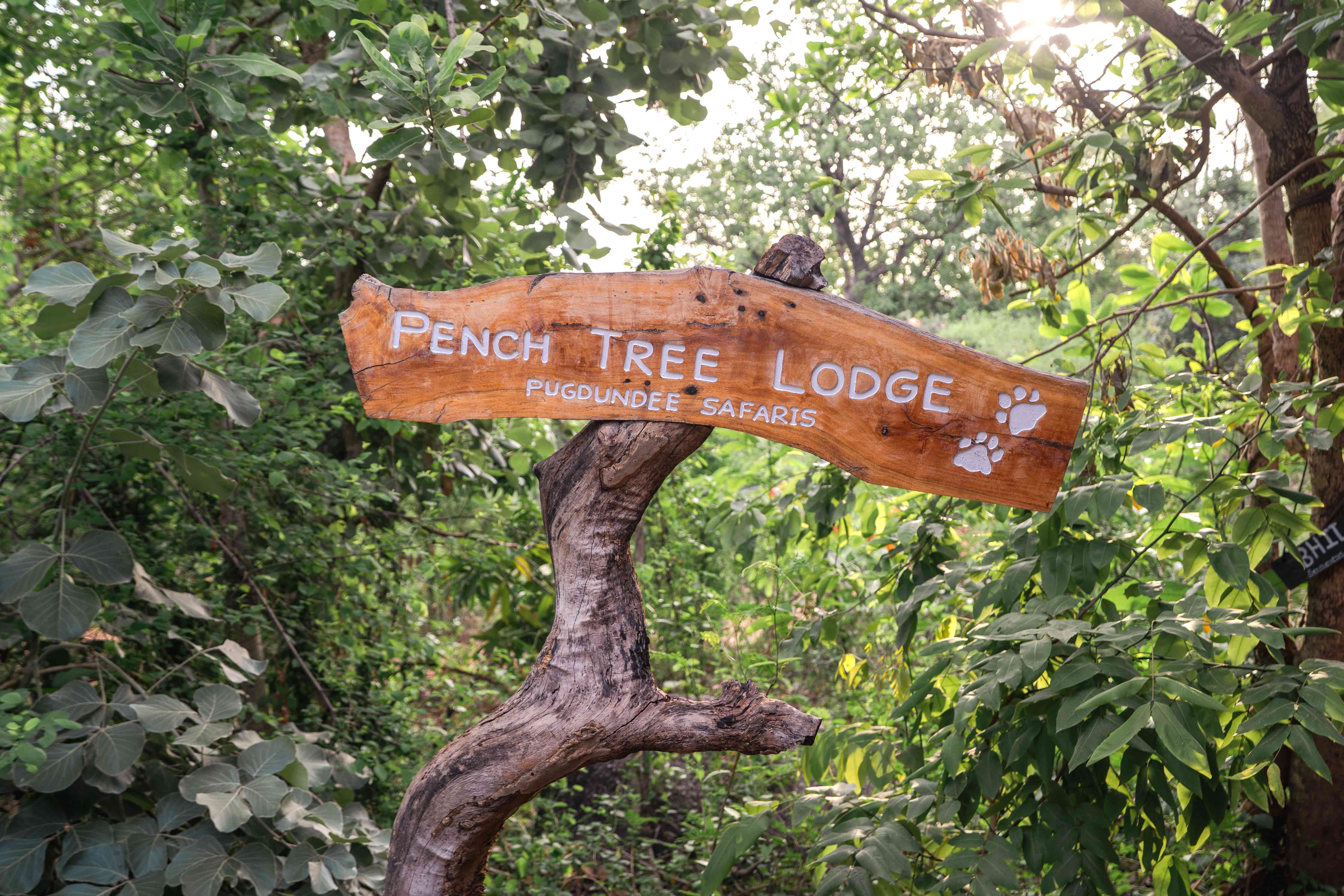 Pench Tree Lodge