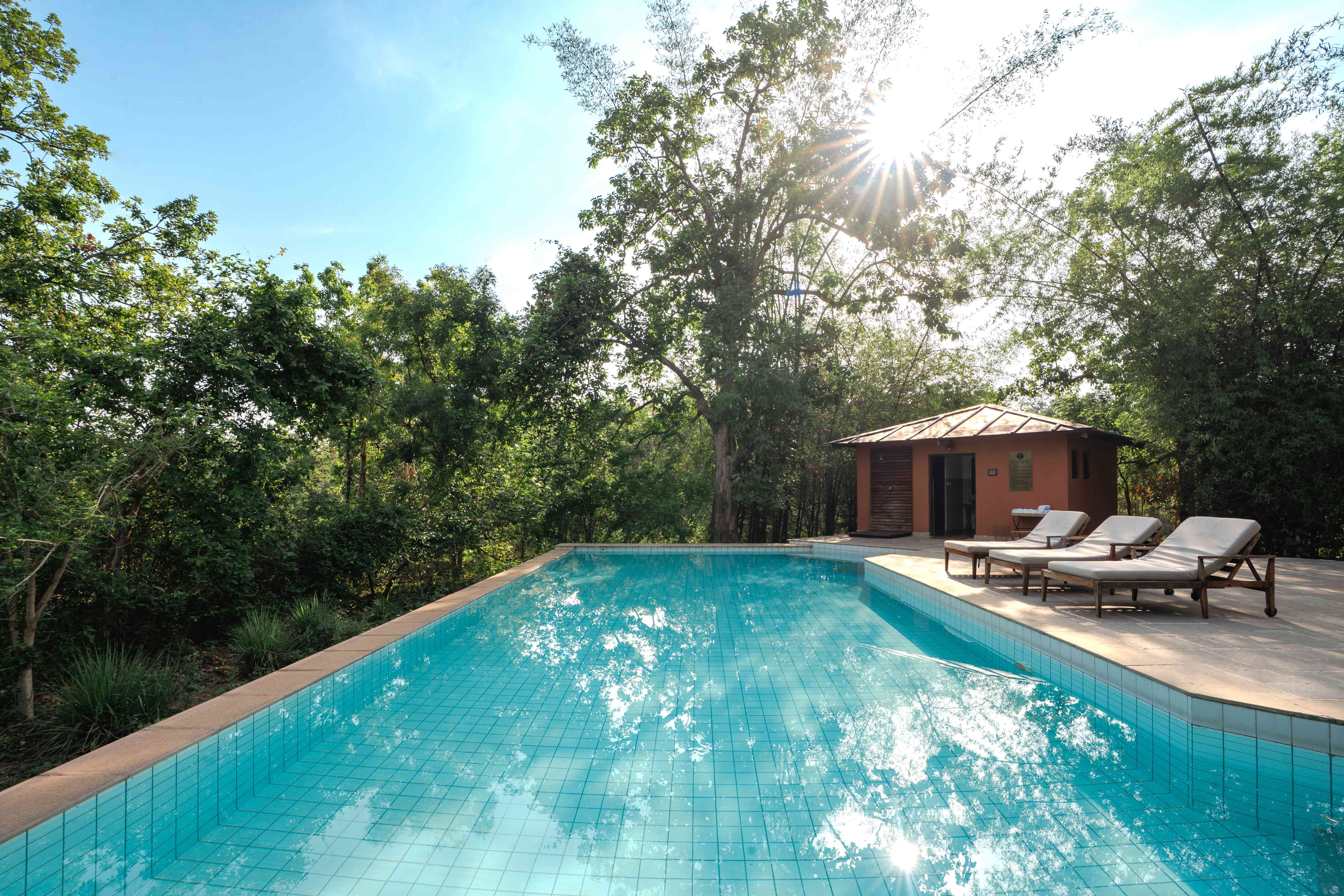 Pench Tree Lodge